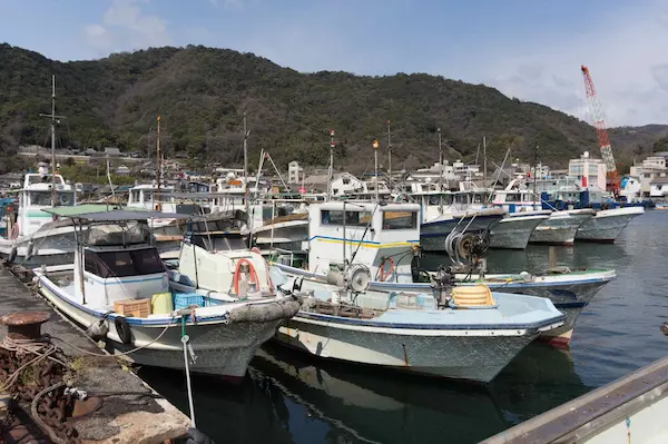 Boats on harbour (3)